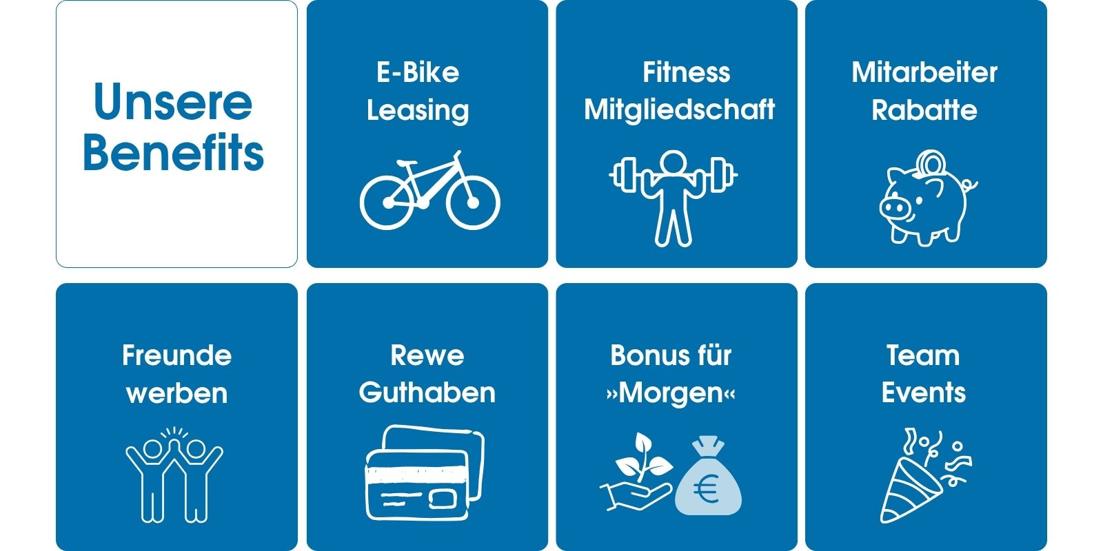 Blaue Kacheln mit Benefits Icons wie E Bike, Fitness und Rabatte